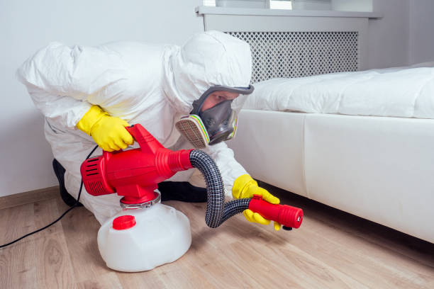 Best Pest Removal Services  in Payson, UT