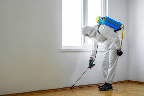 Best Affordable Pest Control Services  in Payson, UT