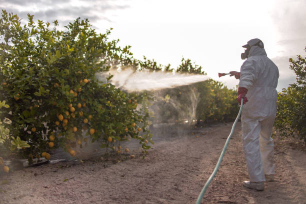 Best Exterminator Services  in Payson, UT